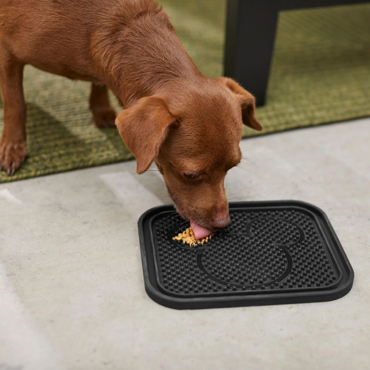 Disney Mickey Silicone Dog & Cat Lick Mat & Disney Mickey Silicone Dog & Cat Lick Mat 5 Disney Mickey Silicone Dog & Cat Lick Mat & Disney Mickey Silicone Dog & Cat Lick Mat - Image 5