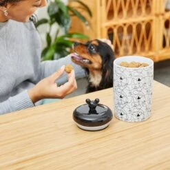 Disney Table Scraps Mickey Mouse Hot Diggity Dog Recipe Upcycled Jerky Dog Treats, 5-oz Bag & Disney Mickey Lines Ceramic Treat Jar -Dog Supply Store 623494 PT7. AC SS1800 V1661896454