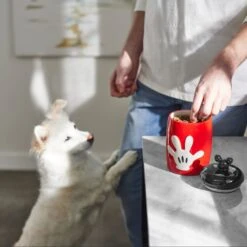 Disney Table Scraps Mickey Mouse Hot Diggity Dog Recipe Upcycled Jerky Dog Treats, 5-oz Bag & Disney Mickey Mouse Ceramic Dog & Cat Treat Jar -Dog Supply Store 623510 PT8. AC SS1800 V1661896152