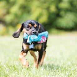 KONG Cozie King The Purple Haired Lion Dog Toy -Dog Supply Store 62768 PT2. AC SS1800 V1631777175