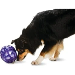 PetSafe Busy Buddy Kibble Nibble Treat Dispenser Dog Toy -Dog Supply Store 63854 PT2. AC SS1800 V1602289560