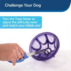PetSafe Busy Buddy Kibble Nibble Treat Dispenser Dog Toy -Dog Supply Store 63854 PT6. AC SS1800 V1602306659