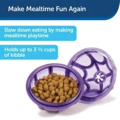 PetSafe Busy Buddy Kibble Nibble Treat Dispenser Dog Toy -Dog Supply Store 63854 PT7. AC SS1800 V1602328559