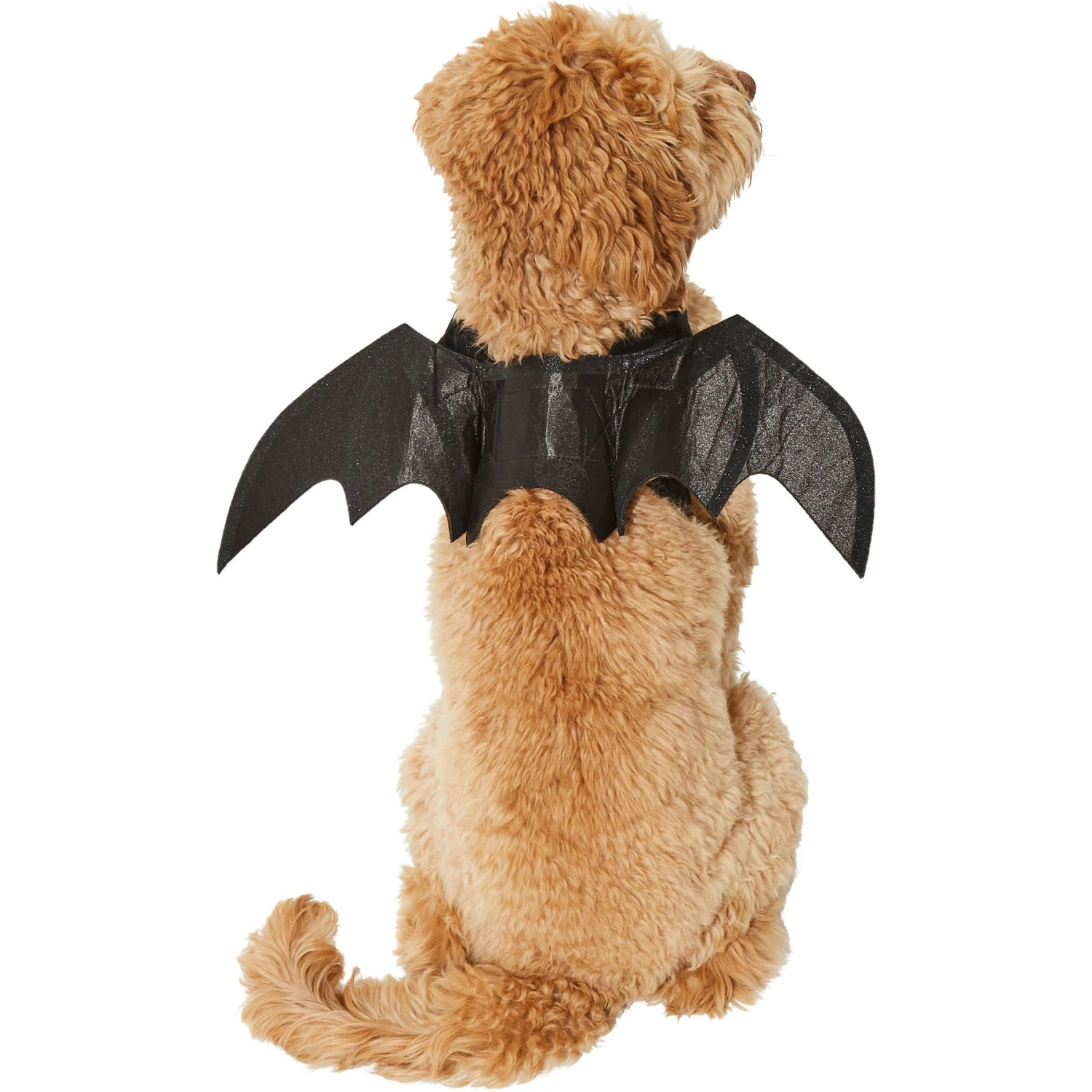 Frisco Bat Wings Dog & Cat Costume & Buckle-Down Batman Shield Polyester Dog Collar 4 Frisco Bat Wings Dog & Cat Costume & Buckle-Down Batman Shield Polyester Dog Collar - Image 4