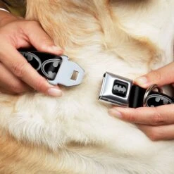 Frisco Bat Wings Dog & Cat Costume & Buckle-Down Batman Shield Polyester Dog Collar 15 Frisco Bat Wings Dog & Cat Costume & Buckle-Down Batman Shield Polyester Dog Collar -Dog Supply Store 638566 PT6. AC SS1800 V1663254111