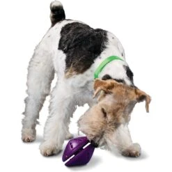 PetSafe Busy Buddy Twist 'n Treat Treat Dispenser Dog Toy -Dog Supply Store 63858 PT2. AC SS1800 V1602333064