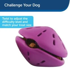 PetSafe Busy Buddy Twist 'n Treat Treat Dispenser Dog Toy -Dog Supply Store 63858 PT6. AC SS1800 V1602338761