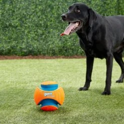 Chuckit! Kick Fetch Ball Dog Toy 7 Chuckit! Kick Fetch Ball Dog Toy -Dog Supply Store 64758 PT2. AC SS1800 V1543519057