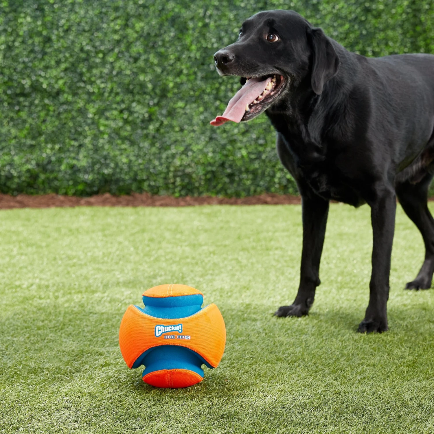 Chuckit! Kick Fetch Ball Dog Toy 3 Chuckit! Kick Fetch Ball Dog Toy - Image 3