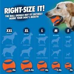 Chuckit! Pro Launcher Dog Toy, Color Varies -Dog Supply Store 64777 PT7. AC SS1800 V1530212937