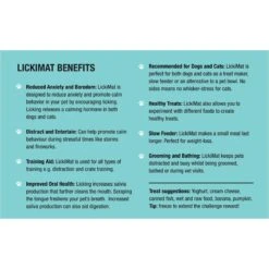 LickiMat Buddy Slow Feeder Dog Lick Mat, Turquoise, X-Large 11 LickiMat Buddy Slow Feeder Dog Lick Mat, Turquoise, X-Large -Dog Supply Store 654638 PT8. AC SS1800 V1668458507