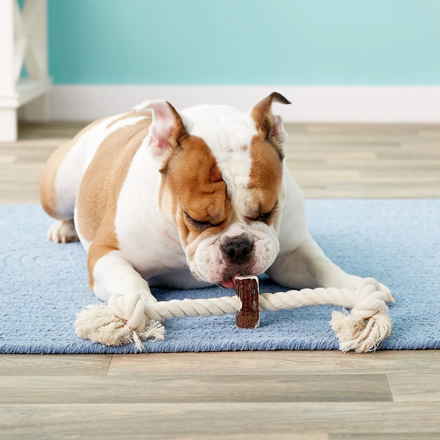 Big Sky Antler Chews Natural Elk Antler Rope Dog Chew Toy 2 Big Sky Antler Chews Natural Elk Antler Rope Dog Chew Toy - Image 2