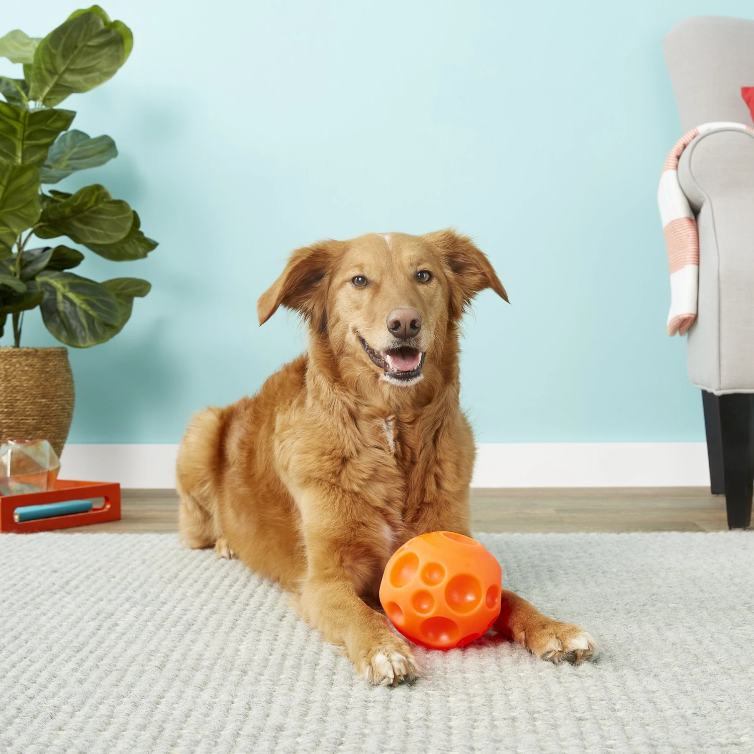 Omega Paw Tricky Treat Ball Dog Toy 4 Omega Paw Tricky Treat Ball Dog Toy - Image 4