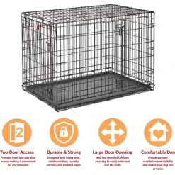 MidWest LifeStages Double Door Collapsible Wire Dog Crate -Dog Supply Store 66304 PT6. AC SS1800 V1647555091