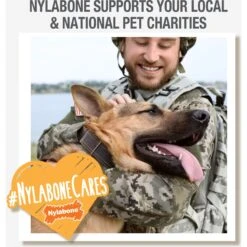 Nylabone Creative Play C-Shuu Interactive Exercise Dog Toy 17 Nylabone Creative Play C-Shuu Interactive Exercise Dog Toy -Dog Supply Store 665654 PT8. AC SS1800 V1679081952