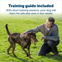 PetSafe Stubborn Dog Stay+Play Wireless Fence Receiver Collar -Dog Supply Store 67058 PT3. AC SS1800 V1685727310