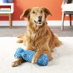 Multipet Loofa Floppy Water Bottle Buddies Squeaky Plush Dog Toy, Color Varies -Dog Supply Store 68079 PT2. AC SS1800 V1530544374