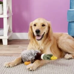Multipet Migrator Bird Mallard Squeaky Plush Dog Toy -Dog Supply Store 68131 PT2. AC SS1800 V1545172067