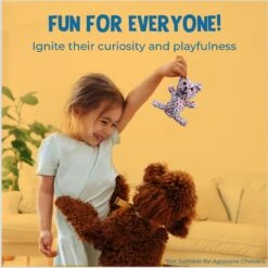 SunGrow Teddy Bear Dog & Small Pet Dental Chews Toy, 5-in -Dog Supply Store 686406 PT2. AC SS1800 V1692806969