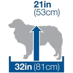 Petmate Ultra Vari Dog & Cat Kennel -Dog Supply Store 68688 PT4. AC SS1800 V1562171226