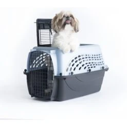 Petmate Two Door Top Load Dog & Cat Kennel 12 Petmate Two Door Top Load Dog & Cat Kennel -Dog Supply Store 68695 PT5. AC SS1800 V1553876549