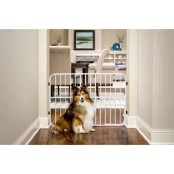 Carlson Pet Products Tuffy Expandable Dog Gate With Pet Door