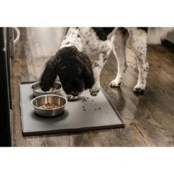 Leashboss Splash Tall Lip Dog Food Mat -Dog Supply Store 694926 PT8. AC SS1800 V1669908004