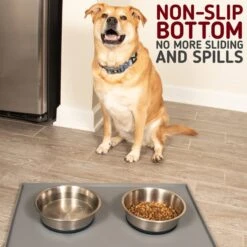 Leashboss Stainless Steel Silicone Base Dog Bowl, Medium/Large -Dog Supply Store 695022 PT3. AC SS1800 V1669907409