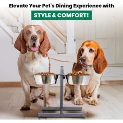 Iconic Pet Adjustable Stainless Steel Elevated Dog Bowl, H Design 14 Iconic Pet Adjustable Stainless Steel Elevated Dog Bowl, H Design -Dog Supply Store 701886 PT5. AC SS1800 V1668110985