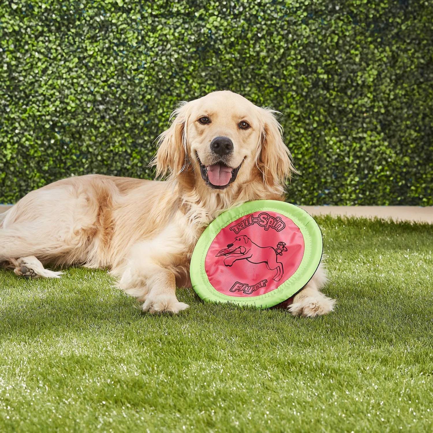 Booda Soft Bite Tail Spin Flyer Flying Disc Dog Toy, Color Varies 2 Booda Soft Bite Tail Spin Flyer Flying Disc Dog Toy, Color Varies - Image 2