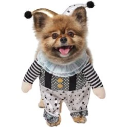 Frisco Front Walking Glitter Clown Dog & Cat Costume -Dog Supply Store 707542 PT2. AC SS1800 V1689351699