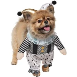 Frisco Front Walking Glitter Clown Dog & Cat Costume -Dog Supply Store 707542 PT3. AC SS1800 V1689278296