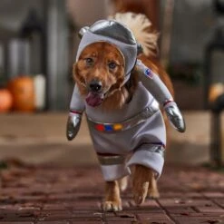 Frisco Front Walking LED Astronaut Dog & Cat Costume -Dog Supply Store 707630 PT7. AC SS1800 V1689278700