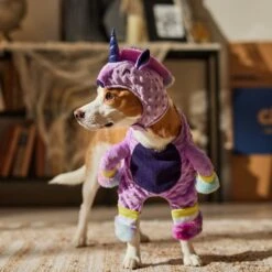 Frisco Front Walking Unicorn Dog & Cat Costume 16 Frisco Front Walking Unicorn Dog & Cat Costume -Dog Supply Store 707678 PT7. AC SS1800 V1689355019