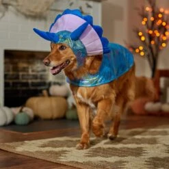 Frisco Dinosaur Dog & Cat Costume -Dog Supply Store 707894 PT7. AC SS1800 V1689350593
