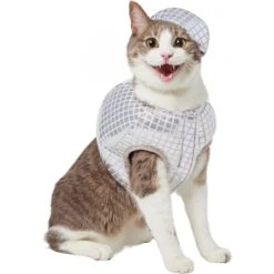 Frisco Disco Ball Dog & Cat Costume -Dog Supply Store 707934 PT2. AC SS1800 V1689283755