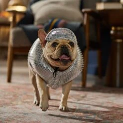 Frisco Disco Ball Dog & Cat Costume -Dog Supply Store 707934 PT7. AC SS1800 V1689271312