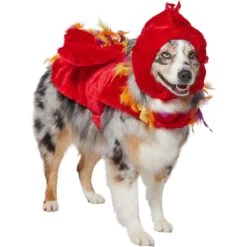 Frisco Flying Phoenix Dog & Cat Costume -Dog Supply Store 708150 PT3. AC SS1800 V1691084928