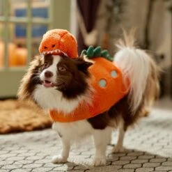 Frisco Furry Dinosaur Dog & Cat Costume -Dog Supply Store 708190 PT7. AC SS1800 V1689278373