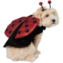 Frisco Glittered Ladybug Dog & Cat Costume 12 Frisco Glittered Ladybug Dog & Cat Costume -Dog Supply Store 708254 PT3. AC SS1800 V1689350986