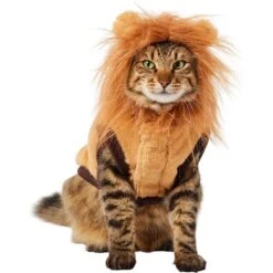 Frisco Lion Love Dog & Cat Costume -Dog Supply Store 708318 PT2. AC SS1800 V1689341486