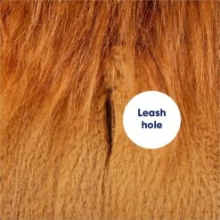 Frisco Lion Love Dog & Cat Costume -Dog Supply Store 708318 PT6. AC SS1800 V1689351045