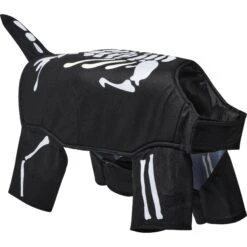Frisco Glow In The Dark Skeleton Dog & Cat Costume -Dog Supply Store 709038 PT3. AC SS1800 V1689351051