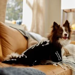 Frisco Glow In The Dark Skeleton Dog & Cat Costume -Dog Supply Store 709038 PT7. AC SS1800 V1689350988