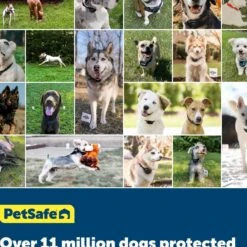 PetSafe YardMax Extra Receiver Collar For In-Ground Fence System -Dog Supply Store 70918 PT5. AC SS1800 V1685634970