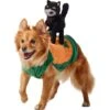 Frisco Pumpkin Cat Ride-On Dog & Cat Costume