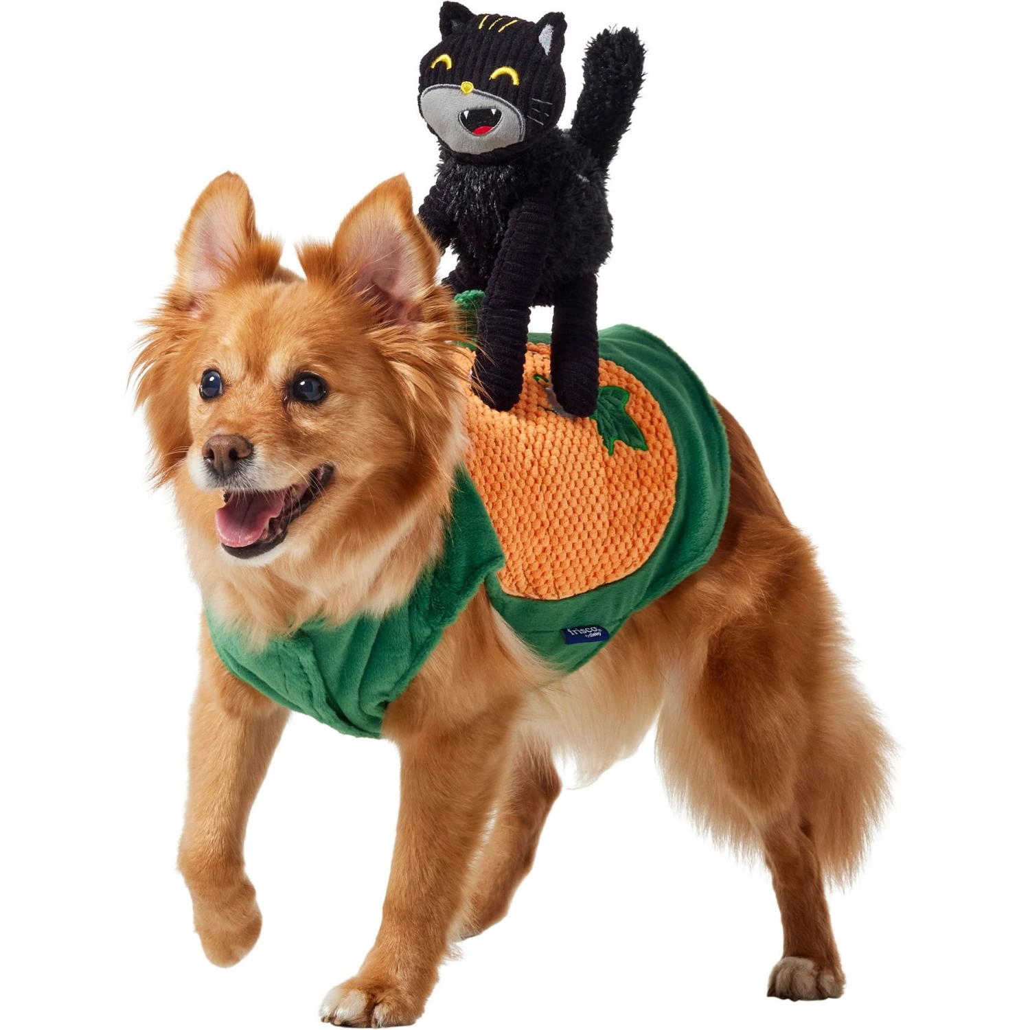 Frisco Pumpkin Cat Ride-On Dog & Cat Costume 1 Frisco Pumpkin Cat Ride-On Dog & Cat Costume