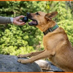 Monster K9 Dog Toys Ultra Durable Dog Ball, Black -Dog Supply Store 711358 PT6. AC SS1800 V1668809678