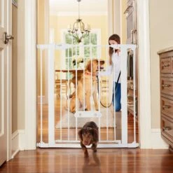 MyPet Tall & Wide Walk Thru Easypass Cat & Dog Gate, White