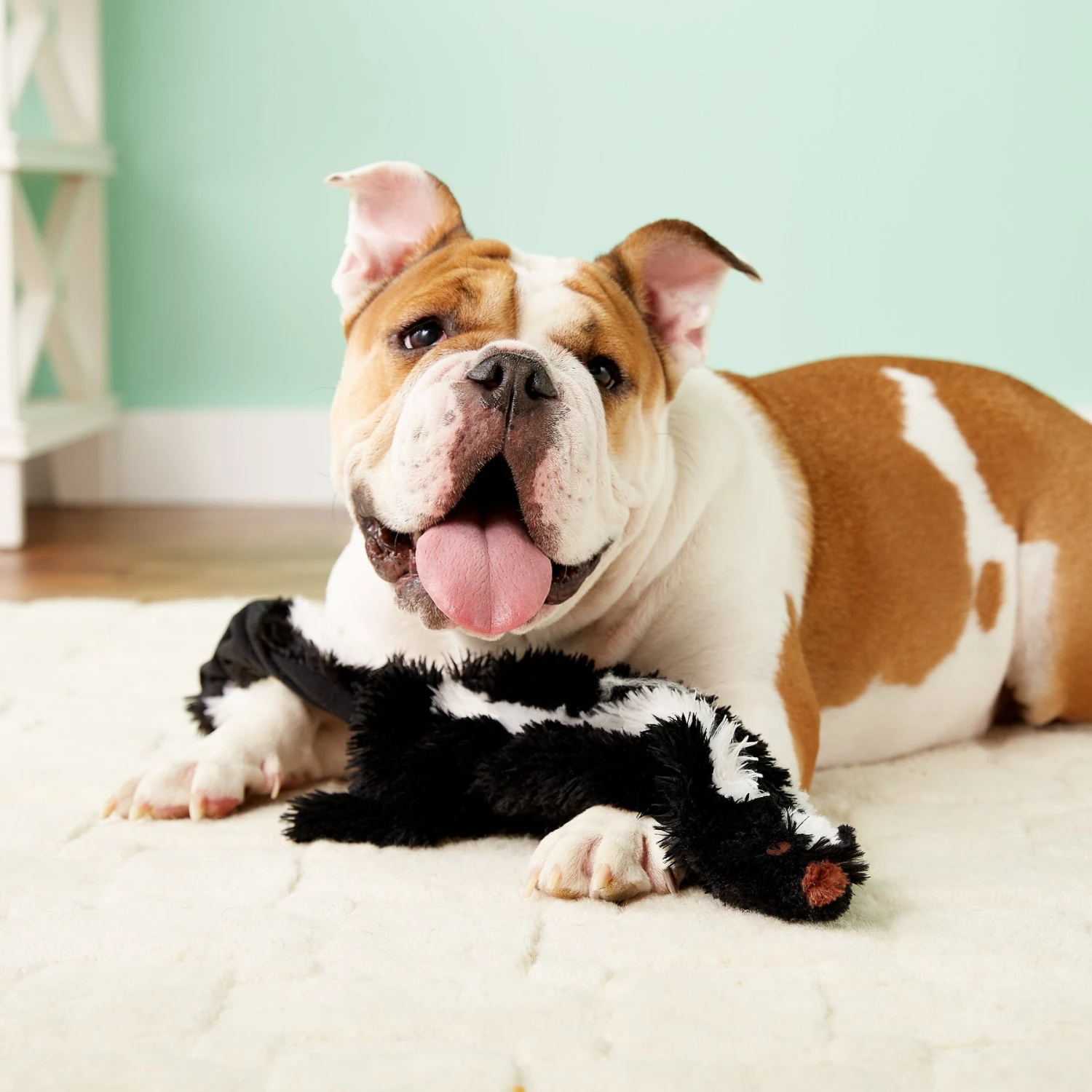 Ethical Pet Skinneeez Forest Series Skunk Stuffing-Free Squeaky Plush Dog Toy 4 Ethical Pet Skinneeez Forest Series Skunk Stuffing-Free Squeaky Plush Dog Toy - Image 4